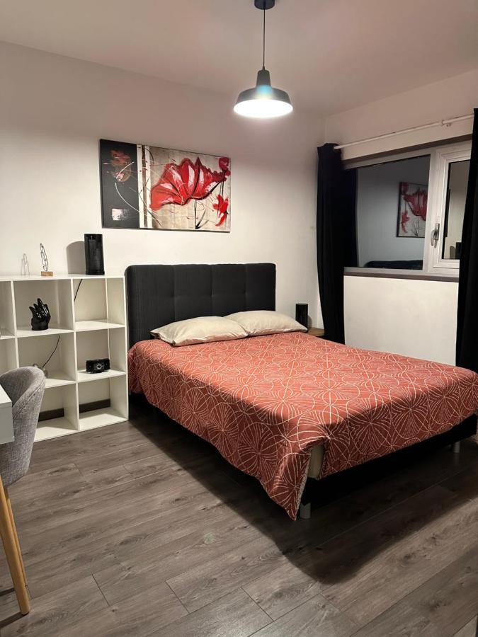 Appartement Magnifique Loft - Hyper Centre à Annemasse Extérieur photo
